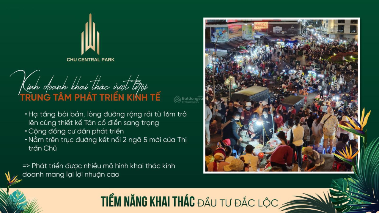 hình ảnh mô tả